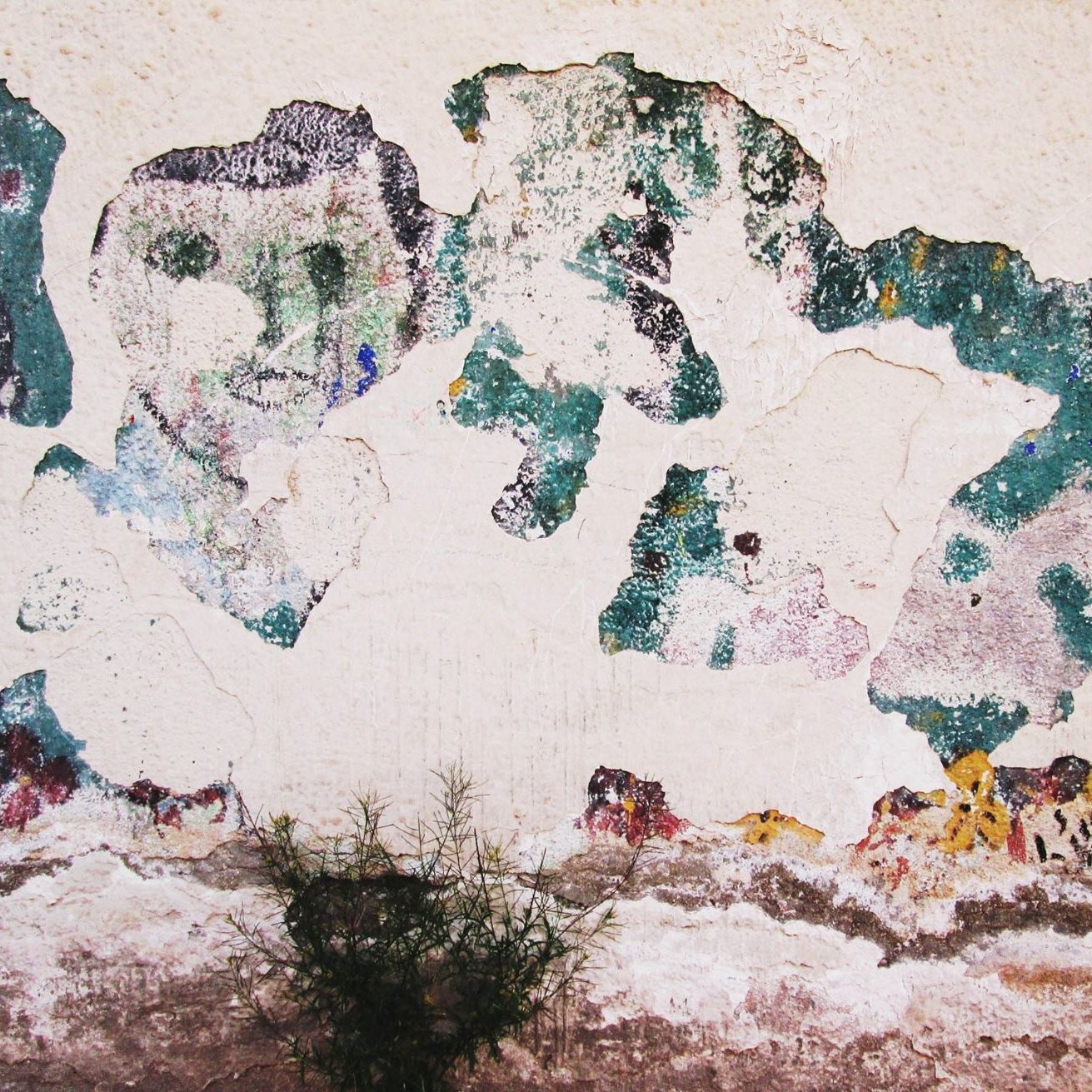 تصویر نشان‌دهنده دیواری است که بخش‌هایی از رنگ و گچ آن کنده شده و بازمانده‌های رنگی به صورت لکه‌های نامنظم روی سطح دیوار دیده می‌شود. این لکه‌ها به رنگ‌های سبز، آبی و قهوه‌ای هستند و باعث ایجاد الگوهای جذاب و هنری بر روی دیوار شده‌اند. در قسمت پایینی، گیاهی کوچک در حال رشد است که به زیبایی این تصویر افزوده است. فضای کلی به نظر قدیمی و فرسوده می‌رسد.