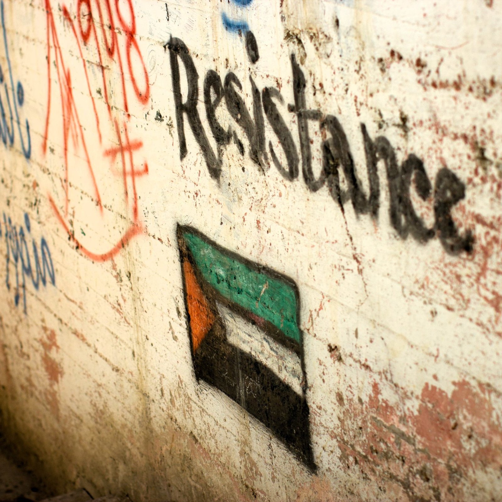 L'immagine mostra un muro su cui è stato sprayato un graffiti. Sul muro ci sono vari graffiti e scritte, tra cui la parola "Resistance" in lettere nere. Accanto a questa parola, si trova il disegno della bandiera palestinese, caratterizzato da strisce orizzontali verde, bianco e nero, con un triangolo rosso a sinistra. Lo sfondo del muro è usurato, con tracce di vernice scrostata e macchie di diverso colore.