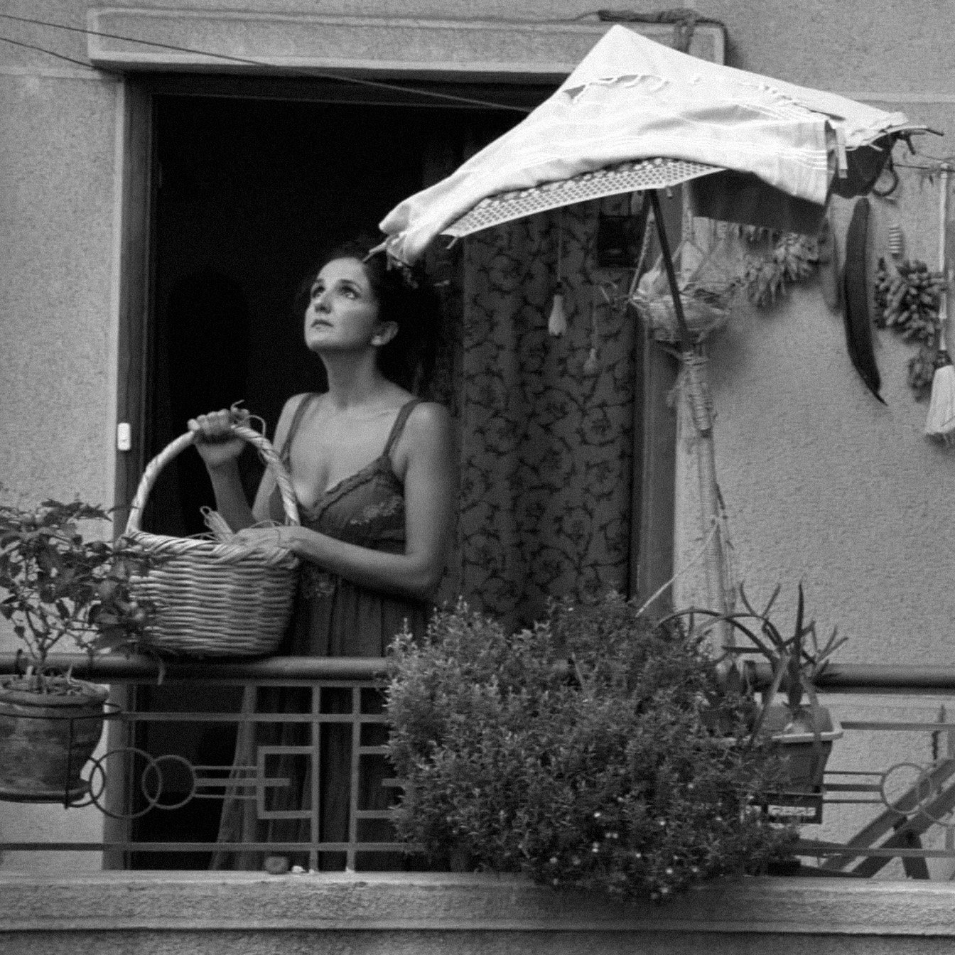 در تصویر، زنی در بالکن ایستاده و سبدی در دست دارد. او به نظر می‌رسد در حال نگاه کردن به بیرون است. بالکن پر از گیاهان و گل‌هاست و سایه‌بان کوچکی نیز بالای سرش وجود دارد. فضای تصویر به‌صورت سیاه و سفید است که به آن حس قدیمی و عاشقانه‌ای می‌دهد. دیوارهای اطراف ساده و بدون تزئینات هستند. این تصویر احساس تنهایی و تأمل را القا می‌کند.