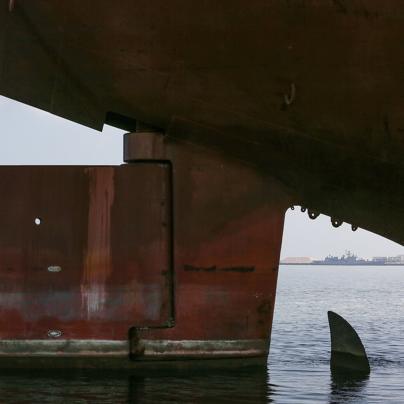 L'image montre une partie d'un grand navire de marchandises, probablement ancré dans un port. On voit le fond de la coque, qui est rouillé, et une partie de la structure de la proue. À gauche, une silhouette d'un oiseau se tient sur le navire. En arrière-plan, d'autres navires sont visibles sur l'eau calme. L'ensemble de la scène évoque une atmosphère maritime sereine et industrielle.