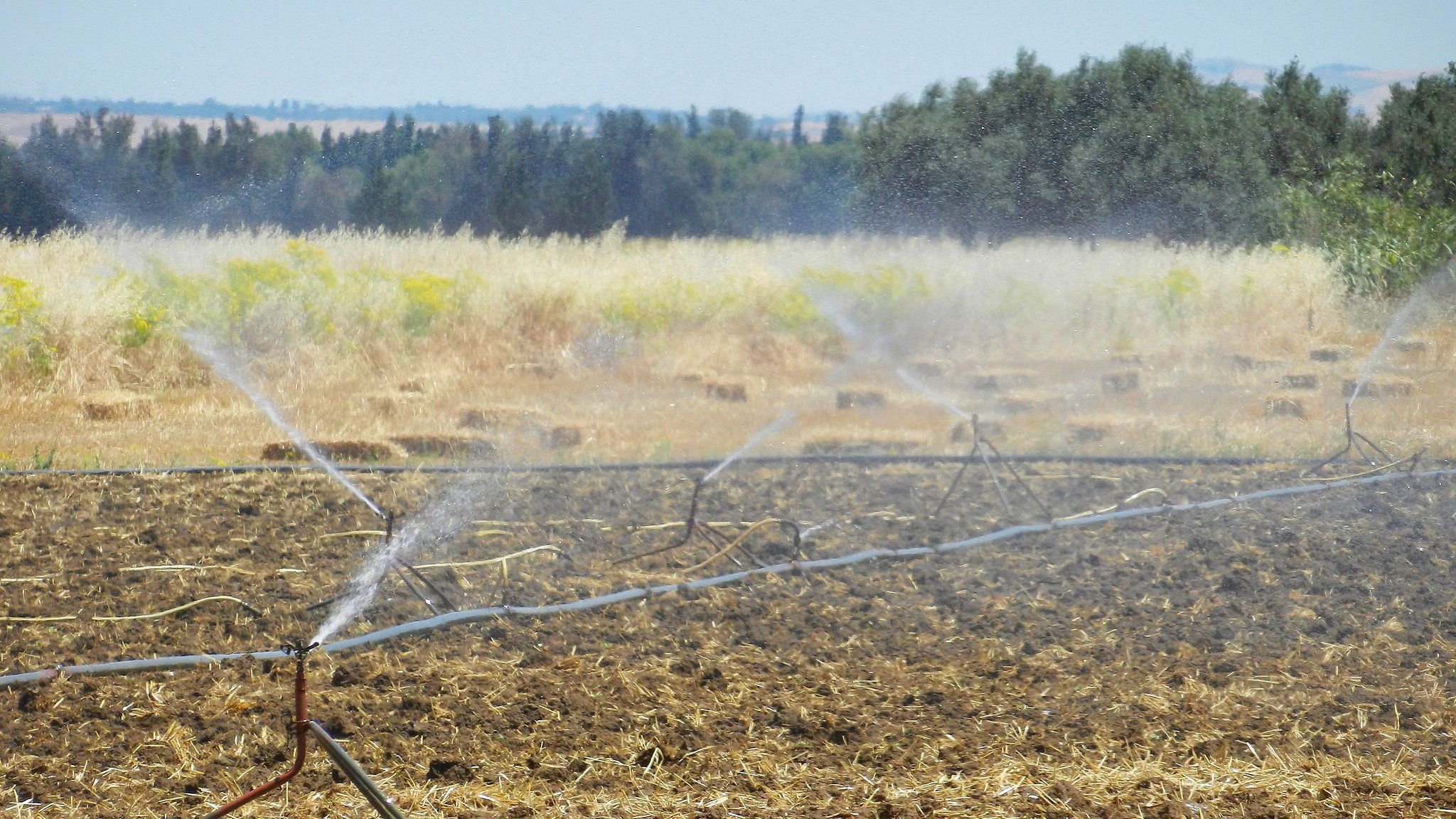 The image shows a field with sprinkler irrigation systems in operation. Water is being sprayed onto the dry, plowed soil, creating a mist effect. In the background, there are trees and a clear sky, indicating a rural landscape. The overall scene suggests agricultural activity, with the purpose of watering crops or preparing the soil for planting.