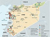 L'offensive de l'Armée syrienne libre contre l'État islamique en Irak et au Levant