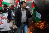 Un manifestant porte une branche d'olivier, pendant que le cortège s'approche de la colonie israélienne de Beit El.