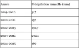 Tableau de précipitations annuelles sur cinq années, avec des valeurs en millimètres.