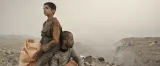 © gentile concessione della casa di produzione Odeh Films