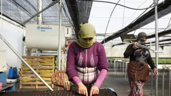 L'image montre deux femmes travaillant dans une serre. L'une d'elles est au premier plan, concentrée sur un plateau de culture, où elle semble mettre des graines en terre. Elle porte un pull violet et un foulard. À l'arrière-plan, une autre femme marche, vêtue d'un pantalon coloré et d'un haut sombre. La serre est éclairée par la lumière naturelle, avec des filets qui filtrent le soleil. Des étagères en bois sont visibles, probablement utilisées pour le stockage ou la préparation des plants.