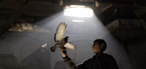 Un garçon tient un pigeon sous un rayon de lumière dans un lieu sombre.