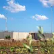 L'image montre un paysage avec un mur en béton qui semble délimiter une zone. Au fond, on peut voir des pylônes de communication et des lampadaires, suggérant une certaine infrastructure. Au premier plan, il y a un champ de cultures avec des lignes de légumes, probablement dans un état de sécheresse ou de négligence, tandis qu'un feuillage flou dans la partie inférieure de l'image ajoute une touche naturelle. Le ciel est bleu avec quelques nuages.