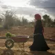 L'image montre une femme portant un hijab rouge, marchant avec une brouette. Elle est dans un paysage rural, avec des arbres et un champ autour d'elle, sous un ciel nuageux. La lumière semble douce, créant une atmosphère tranquille, tandis qu'elle transporte probablement des légumes ou des plantes dans la brouette.