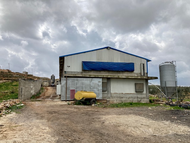 La ferme avicole de Qusrah