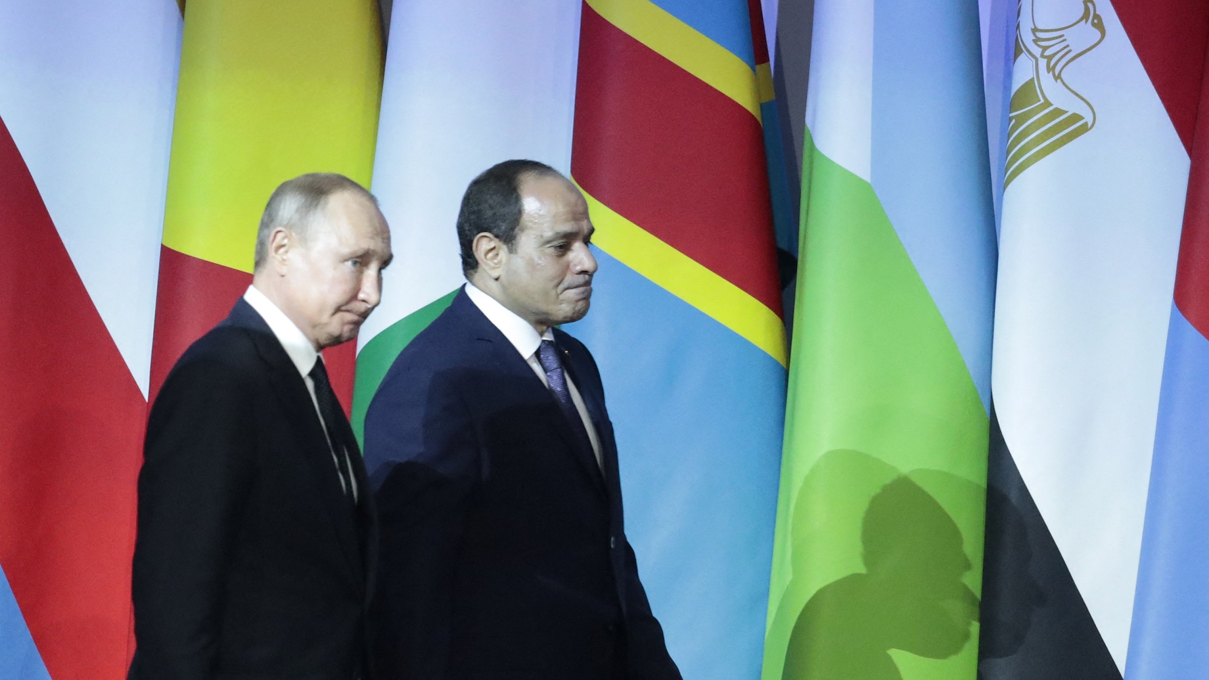 تظهر الصورة رجلين يسيران جنباً إلى جنب، مع وجود مجموعة من الأعلام خلفهم. يبدو أن أحدهم يرتدي بدلة داكنة، بينما الآخر يرتدي بدلة رسمية أيضاً، ويبدو أن كلاهما يتجه نحو جهة معينة. الأعلام خلفهم تمثل دولاً مختلفة، مما يوحي بأن الصورة تم التقاطها خلال حدث دولي أو قمة. الأجواء تبدو رسمية وجادة.
