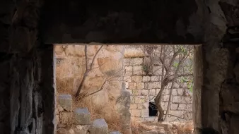 الصورة تُظهر إطار نافذة يطل على مشهد قديم يحتوي على جدران حجرية ودرجات. يبدو أن المكان مهجور، حيث يبرز فيه نبات جاف وبعض الأعشاب. من خلال النافذة، يمكن رؤية جزء من مبنى قديم، مما يوحي بتاريخ طويل للمكان. الجو العام يعكس الشعور بالهدوء والسكينة، مع لمسات من الطبيعة التي بدأت تستعيد المكان.