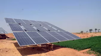 تظهر في الصورة مجموعة من الألواح الشمسية المثبتة بزاوية على قاعدة، حيث يتواجد تحتها كلب. الأرض المحيطة بالألواح صحراوية وتظهر فيها بعض النباتات الخضراء، كما يوجد في الخلف عدد من أشجار النخيل تحت سماء زرقاء واضحة. وتعكس الصورة استخدام الطاقة الشمسية في المناطق القاحلة.