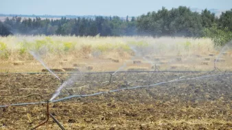 تظهر في الصورة مزرعة حيث يتم ري الأرض. يتم ضخ الماء من خلال أنابيب مرتبة على طول الحقل، حيث تتصاعد الرشات بشكل منعش فوق التربة الجافة. في الخلفية، تظهر بعض الأشجار والمزارع الأخرى، مما يدل على بيئة زراعية. السماء زرقاء وصافية، مما يضفي شعوراً بالهدوء والطبيعة.