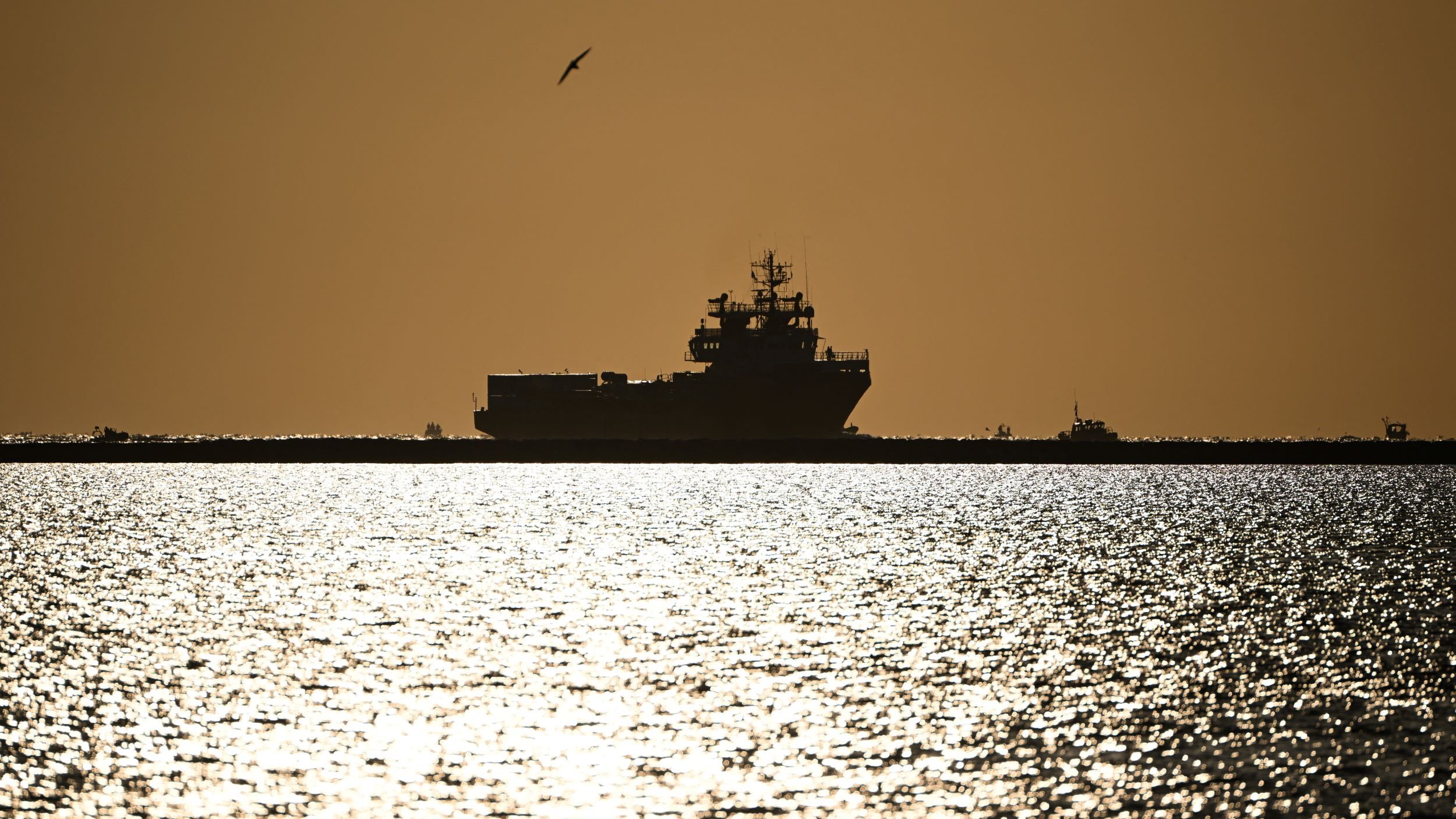 The image depicts a silhouette of a large ship on water during sunset or sunrise. The scene is bathed in a warm golden light, creating a dramatic contrast between the dark shape of the ship and the shimmering, reflective surface of the water. A seagull is seen flying in the sky, adding to the serene atmosphere of the moment. The horizon appears distant, enhancing the feeling of calmness and stillness in the scene.