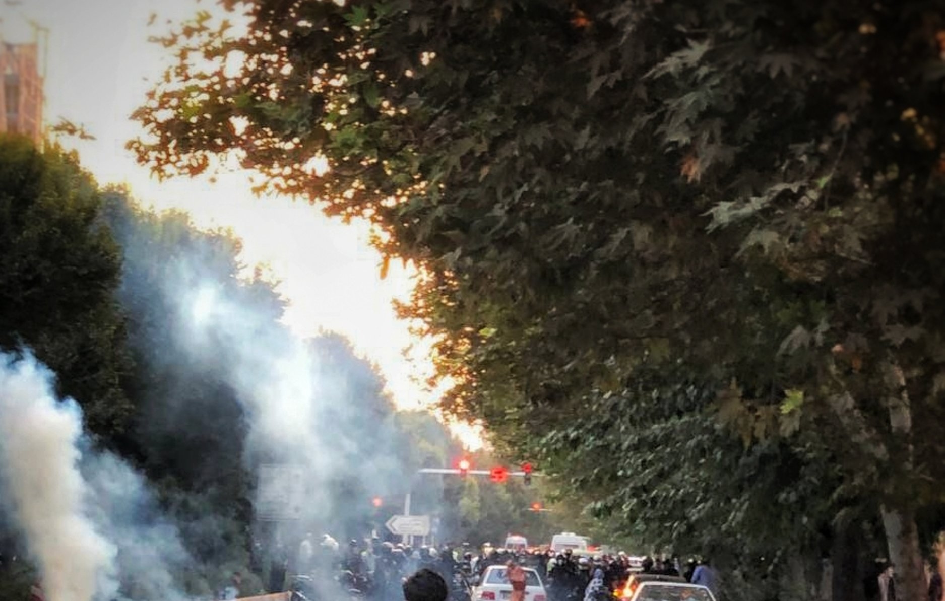 در این تصویر، صحنهای از یک شورش یا تظاهرات مشاهده میشود. فردی با پشت به دوربین در حال پرتاب شیئی به سمت جمعیت است. در اطراف او، دود غلیظی به هوا بلند شده و چند خودرو در نزدیکی محل حاضر هستند. درختان در دو سمت خیابان دیده میشوند و به نظر میرسد که فضای تنشزایی در حال ایجاد است. ترافیک و حضور مردم در صحنه نشاندهنده وضعیت پر سر و صدا و احتمالا ناآرام است.