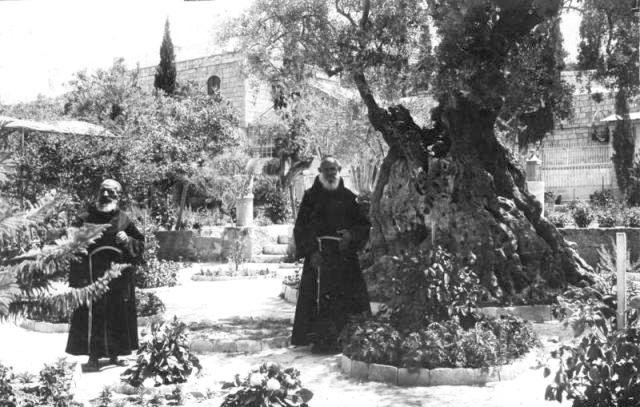 در این تصویر، دو مرد در لباسهای سنتی به طور ایستاده در یک باغ یا محوطهی بیرونی قرار دارند. در پسزمینه، درختان بزرگ و کهن وجود دارد، به ویژه یک درخت زیتون بسیار قدیمی که به وضوح قابل مشاهده است. باغ پر از سبزه و گلهای متنوع است. نمای کلی تصویر حس سکوت و آرامش را منتقل میکند و به نظر میرسد که مکان تاریخی و معنوی باشد.