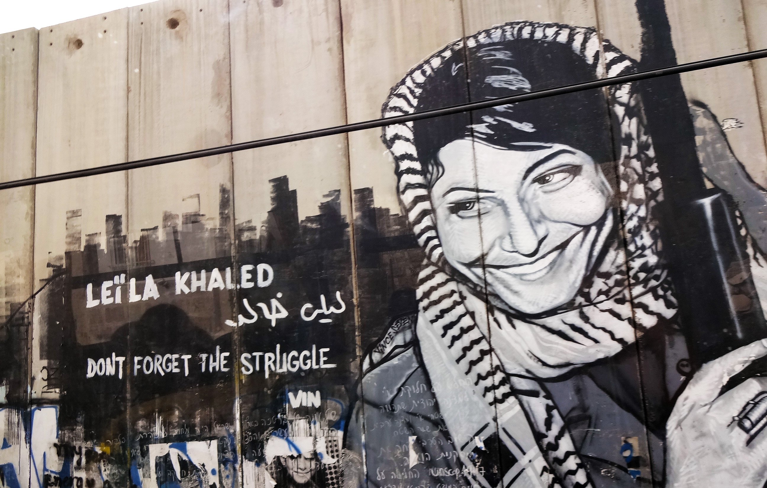 این تصویر یک دیوارنگاری را نشان میدهد که تصویر زنی به نام لیلا خالد را به همراه یک پیغام نوشته شده به زبان انگلیسی و عربی نشان میدهد. زن در حالتی خوشحال و با پوششی سنتی و شال به سر دارد و در دستش سلاحی قرار دارد. متن نوشته شده به زبان انگلیسی میگوید: "Don't forget the struggle" و به زبان عربی نام لیلا خالد ذکر شده است. دیوارنگاری به نظر میرسد که به نمادین بودن او در تاریخ مبارزات فلسطینیها اشاره دارد.