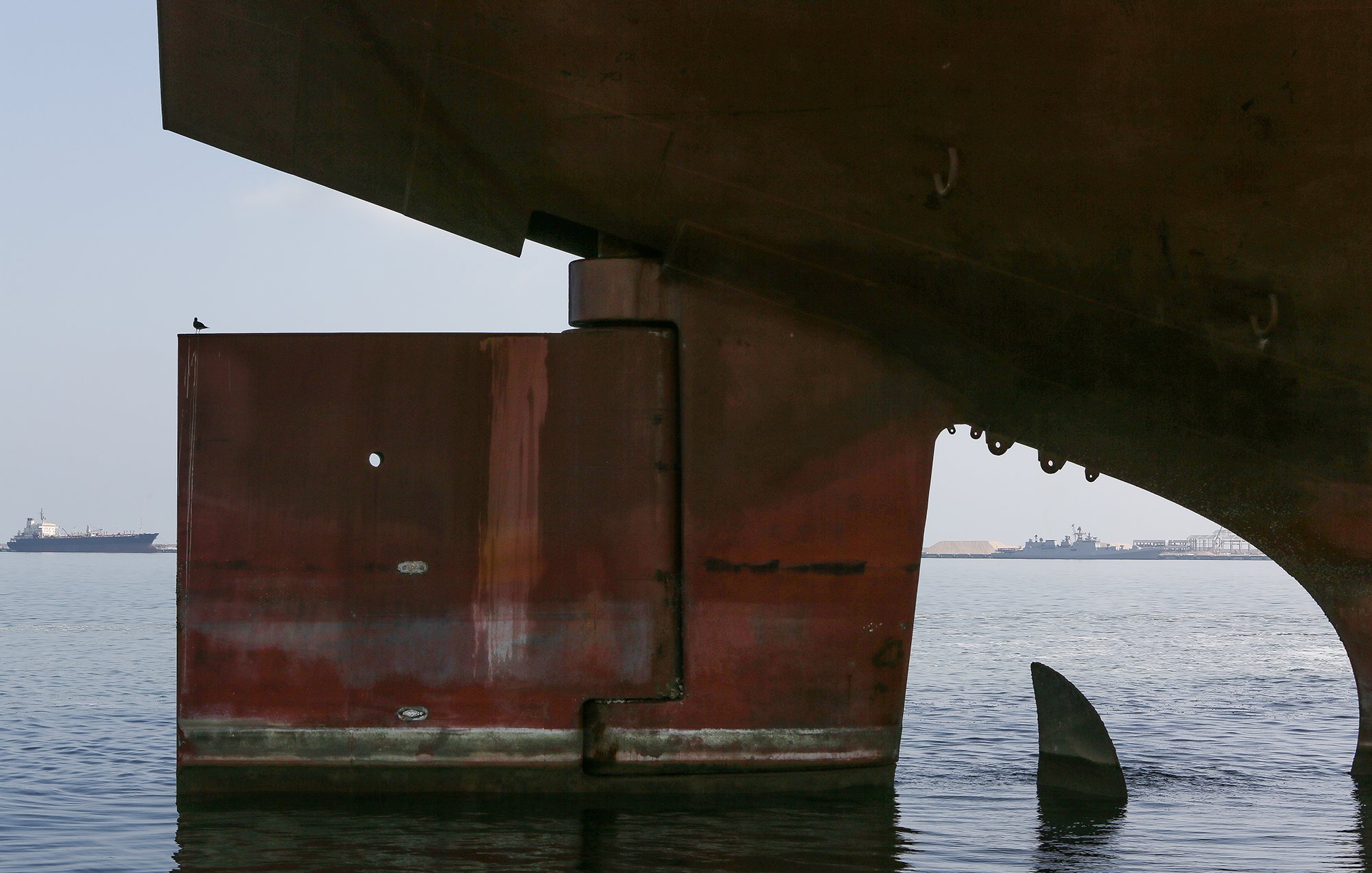 در این تصویر، یک کشتی بزرگ در حال لنگر انداختن در آب دیده میشود. قسمت زیرین و بدنه کشتی، با رنگی قهوهای مائل به قرمز و سطوح زنگزده مشخص شده است. در زیر بدنه کشتی، بخشی از باله یا دم یک موجود دریایی قابل مشاهده است که به آرامی از آب بیرون آمده است. در پسزمینه، چند کشتی دیگر در فاصله دورتر دیده میشوند و فضا روشن و آرام به نظر میرسد.