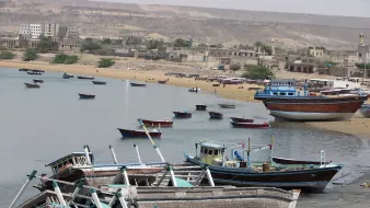 در این تصویر، چندین قایق کوچک در کنار سواحل یک بندر یا ساحل دیده میشود. برخی از قایقها در آب قرار دارند و برخی دیگر به طور نیمه غرق شده یا در خشکی قرار گرفتهاند. پسزمینه شامل ساختمانهایی در بالای تپه و زمینهای خشک است. کوهها یا تپههای بیابانی در دوردست به چشم میخورد. آسمان روشن و آفتابی به نظر میآید. این تصویر حس آرامش و زندگی در کنار دریا را منتقل میکند.