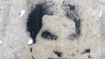 این تصویر شامل یک طرح یا گرافیتی روی دیوار است که چهرهای را به صورت سیاه و سفید نشان میدهد. جزئیات چهره به وضوح قابل تشخیص نیستند و بیشتر به صورت سایهای به نظر میرسند. زمینه تصویر ممکن است از جنس بتن یا دیوار سنگی باشد که به مرور زمان دچار wear و تخریب شده است.