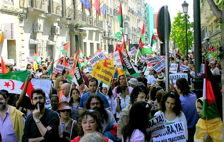 L'image montre une foule rassemblée dans une rue, probablement lors d'une manifestation. Les participants portent des pancartes et des drapeaux, dont certains semblent représenter des causes politiques ou sociales. Il y a des drapeaux de différents pays, notamment un drapeau algérien, et des slogans sont visibles sur les pancartes. La scène est animée et semble refléter un esprit de solidarité et de protestation. Les manifestants semblent engagés dans une cause commune, créant une ambiance dynamique.
