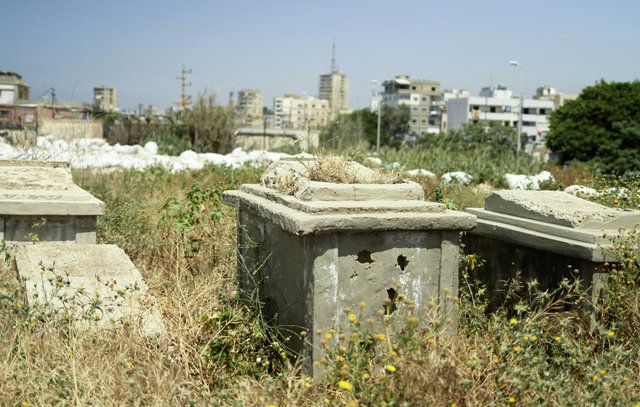 L'image montre un cimetière abandonné ou négligé, où des tombes en béton sont entourées d'herbes hautes et de végétation. On peut apercevoir, au fond, des bâtiments de plusieurs étages et des structures urbaines, ce qui indique une proximité avec une zone habitée. L'atmosphère est calme, mais on ressent un contraste entre l'état de mise à l'écart des tombes et l'activité de la ville environnante.