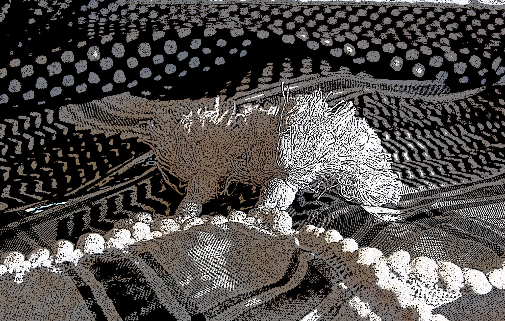 L'image présente un motif abstrait avec des formes organiques et des textures variées. On peut y voir des lignes ondulées et des motifs en points, créant un contraste visuel intéressant. Les couleurs sont principalement monochromes avec des nuances de noir et blanc, ce qui ajoute une dimension graphique. L'ensemble évoque une sensation de profondeur et d'interconnexion, comme si des éléments naturels ou des microorganismes étaient représentés dans un style artistique.