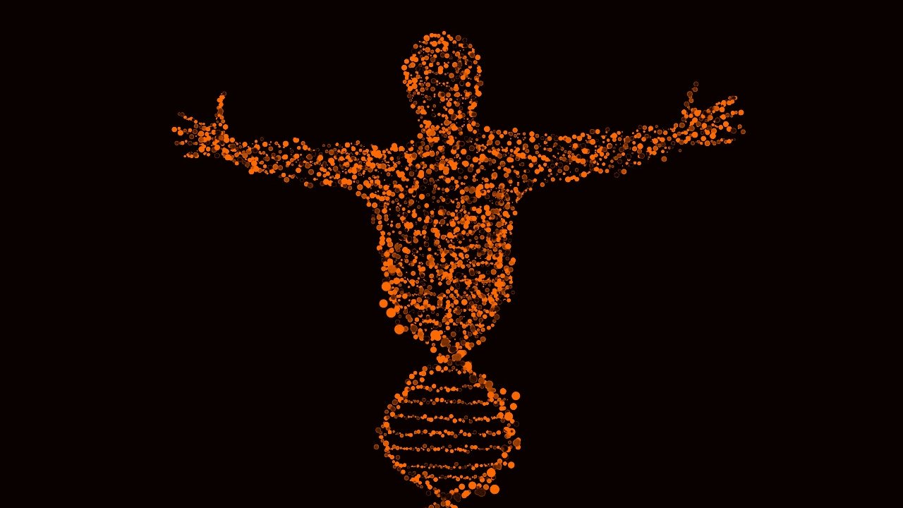 L'image représente une silhouette humaine stylisée, composée de nombreux points lumineux orange. Cette silhouette est placée au-dessus d'une double hélice, semblable à celle de l'ADN, également formée de points lumineux. Le fond est noir, ce qui met en évidence les couleurs vives de la silhouette et de la structure de l'ADN. Les bras de la silhouette sont ouverts, suggérant une posture d'accueil ou de libération. L'ensemble évoque des thèmes de biologie, de génétique et de connexion entre l'humain et la science.