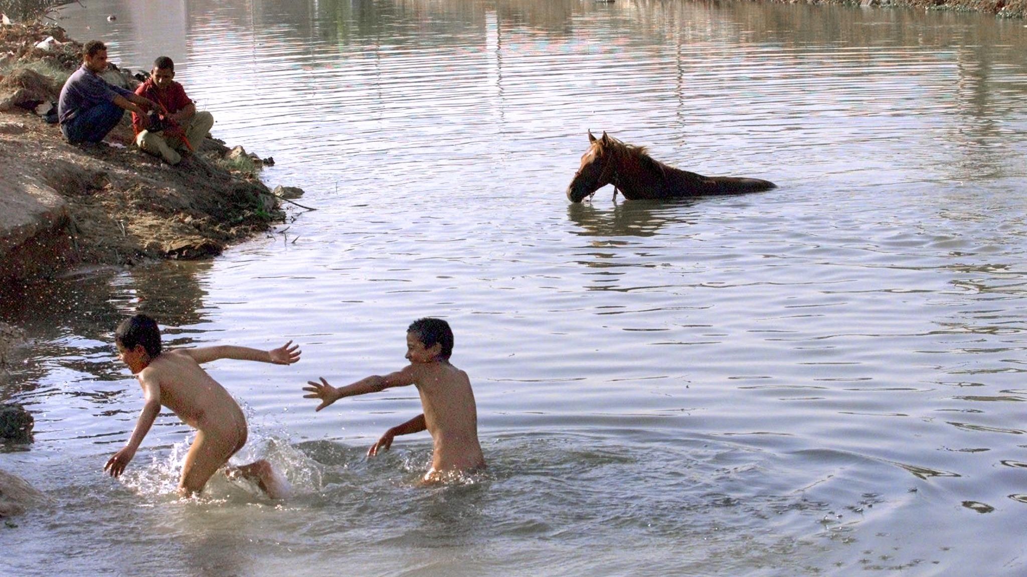 L'image montre une scène paisible près d'un cours d'eau. Deux jeunes garçons jouent dans l'eau, visiblement en train de s'amuser. Ils sont nus et semblent joyeux. Sur la rive, on peut apercevoir quelques personnes assises qui les observent. À l'arrière-plan, un cheval est dans l'eau, probablement en train de se désaltérer ou de se baigner. La nature environnante semble calme avec des rives légèrement boisées. L'atmosphère générale est celle de détente et de jeu.