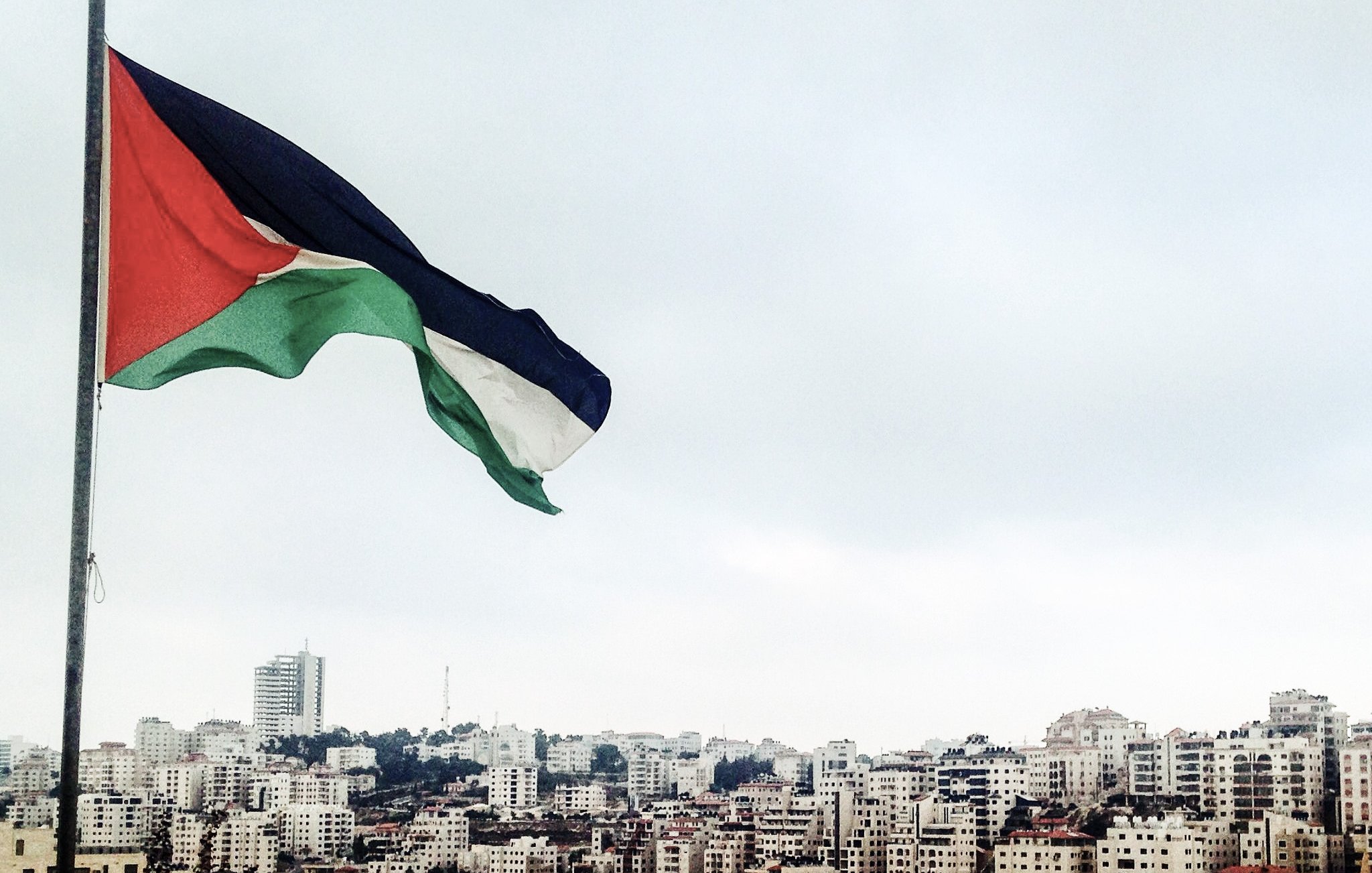 L'image montre un paysage urbain avec une vue sur de nombreux bâtiments modernes. Au premier plan, un drapeau palestinien flotte, composé de trois bandes horizontales (noire, blanche et verte) et d'un triangle rouge. L'arrière-plan présente une ville, dense en architecture, sous un ciel légèrement nuageux. Les couleurs du drapeau et l'urbanisme dans l'image évoquent une ambiance à la fois culturelle et urbaine.