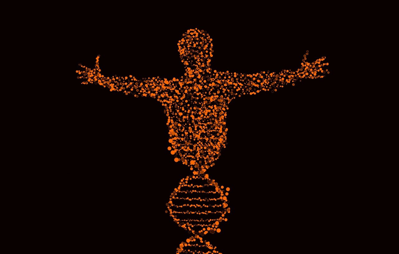 L'image représente une silhouette humaine stylisée, composée de nombreux points lumineux orange. Cette silhouette est placée au-dessus d'une double hélice, semblable à celle de l'ADN, également formée de points lumineux. Le fond est noir, ce qui met en évidence les couleurs vives de la silhouette et de la structure de l'ADN. Les bras de la silhouette sont ouverts, suggérant une posture d'accueil ou de libération. L'ensemble évoque des thèmes de biologie, de génétique et de connexion entre l'humain et la science.