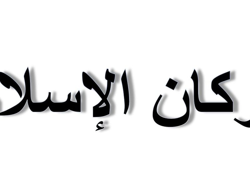 L'image que vous avez fournie représente du texte en arabe. Le texte dit "أركان الإسلام", ce qui se traduit en français par "Les piliers de l'islam". Ces piliers sont les fondements fondamentaux de la foi islamique.