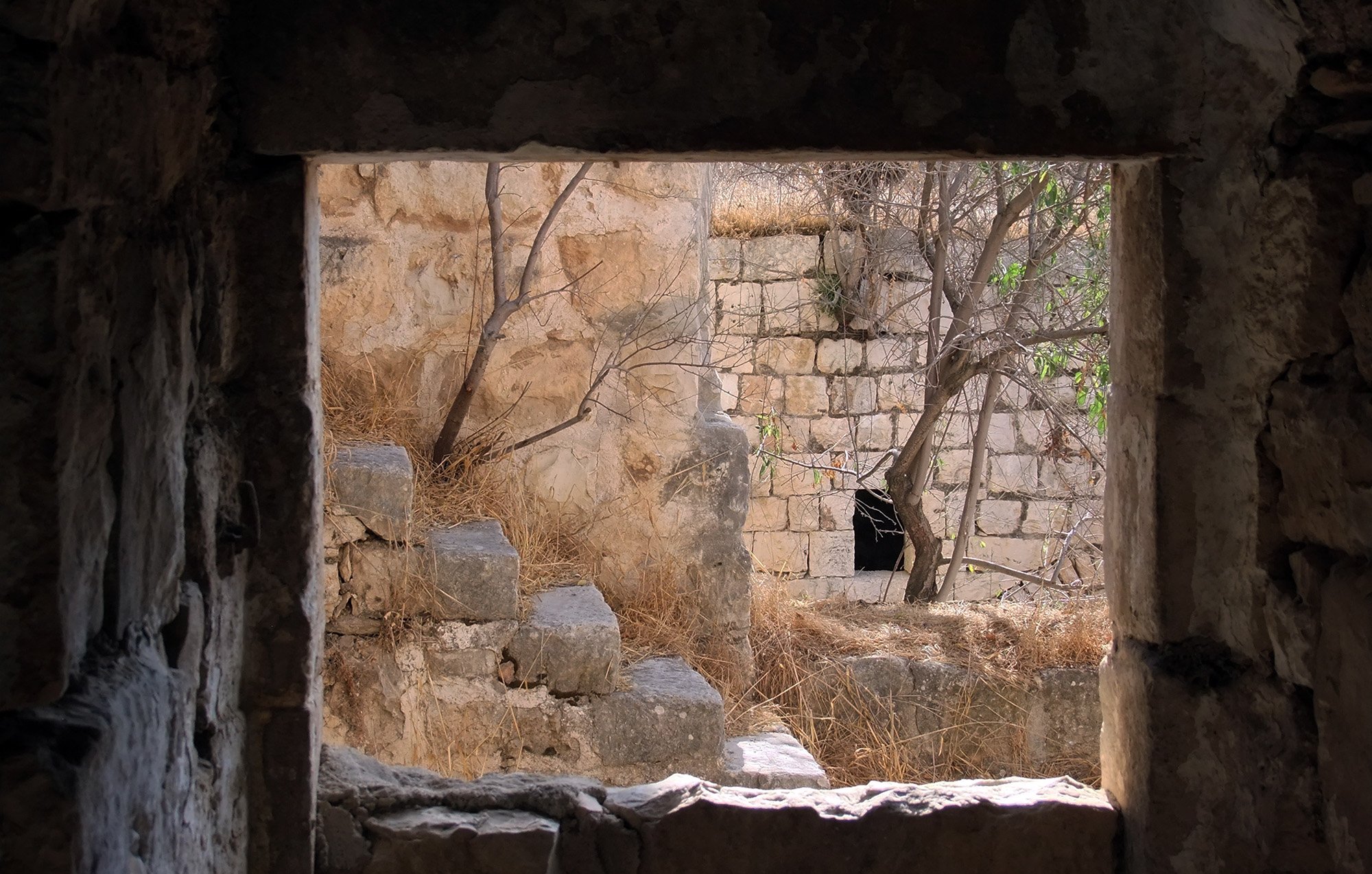 L'image montre un cadre en pierre, à travers lequel on peut apercevoir un paysage de ruines anciennes. On voit des murs en pierre, partiellement couverts de végétation, et quelques marches. À l'intérieur du cadre, une plante semble pousser dans le coin, ajoutant une touche de nature à ce décor architectural. La lumière pénètre doucement à travers l'ouverture, créant une ambiance à la fois paisible et nostalgique.