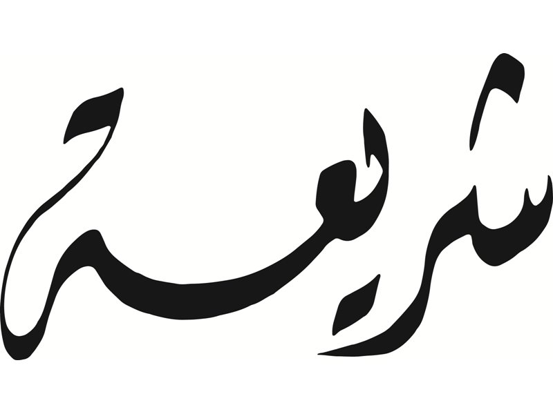 L'image présente un texte en calligraphie arabe, stylisé et net. Les lettres sont fluides et artistiques, avec des courbes qui se rejoignent élégamment. La teinte est généralement noire sur fond blanc, ce qui met en valeur la beauté de l'écriture. Cette forme artistique est souvent utilisée dans la culture arabe pour représenter des mots ou des phrases de manière expressive.