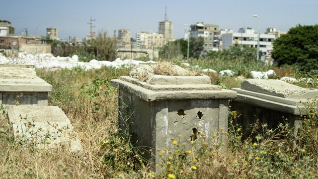 L'image montre un cimetière abandonné ou négligé, où des tombes en béton sont entourées d'herbes hautes et de végétation. On peut apercevoir, au fond, des bâtiments de plusieurs étages et des structures urbaines, ce qui indique une proximité avec une zone habitée. L'atmosphère est calme, mais on ressent un contraste entre l'état de mise à l'écart des tombes et l'activité de la ville environnante.