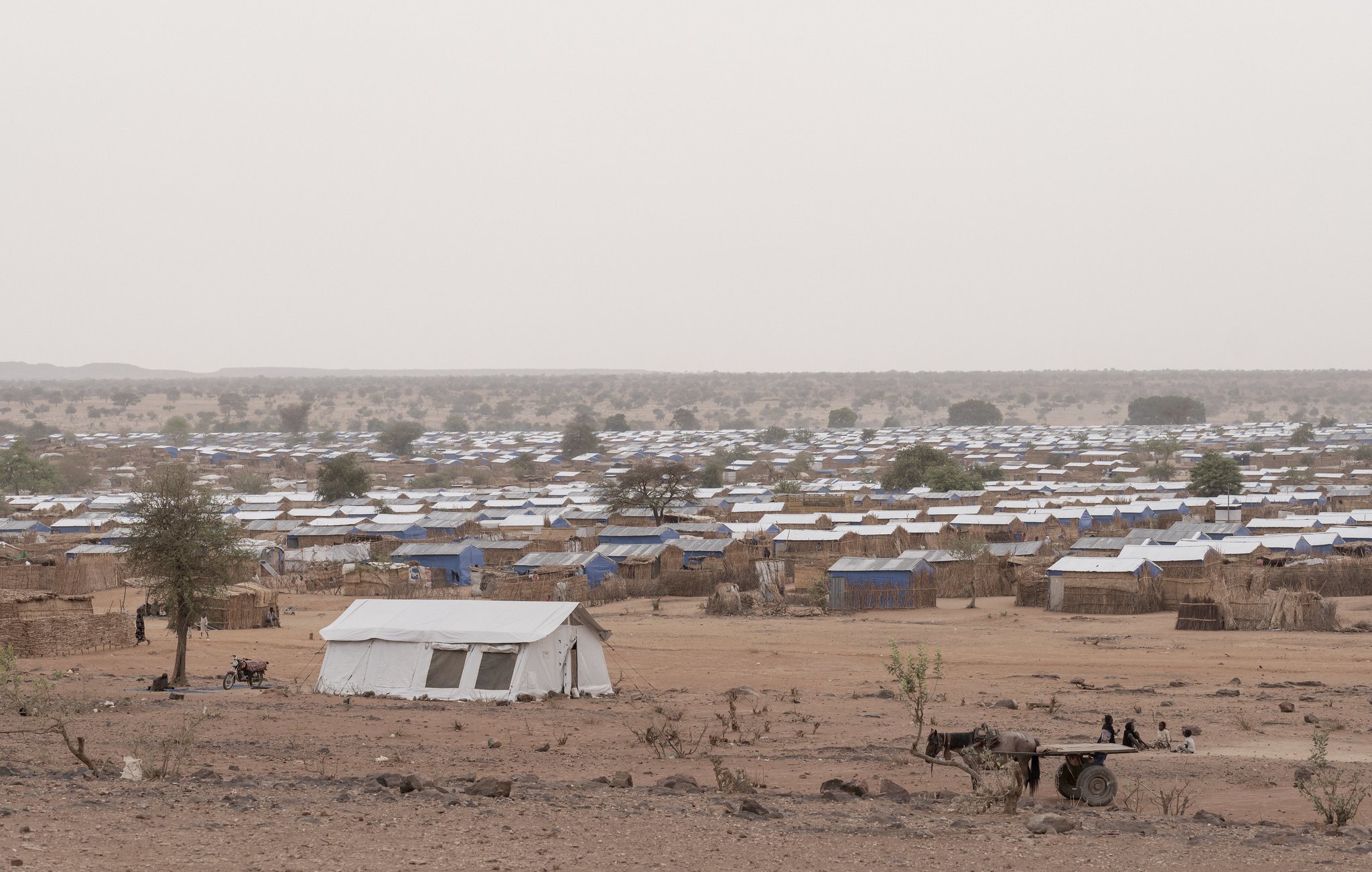 L'image montre un large camp de tentes dans une zone aride. On y voit de nombreuses petites tentes de couleur bleue et beige, entourées de sols secs et caillouteux, avec quelques arbres dispersés dans le paysage.
