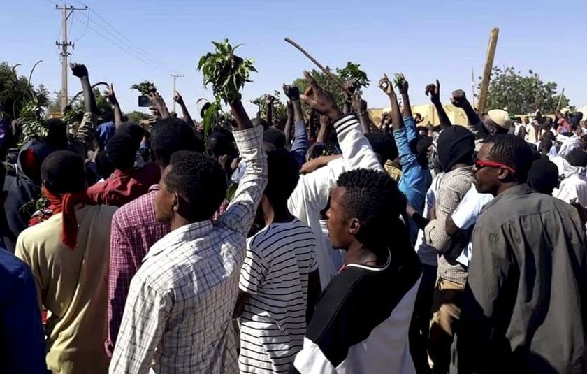 L'image montre un grand groupe de personnes rassemblées à l'extérieur, levez les bras en signe de protestation ou de soutien, tenant probablement des branches ou des plantes. Le paysage semble être rural, avec quelques bâtiments en arrière-plan et un ciel dégagé. L'ambiance semble dynamique et énergique, reflétant une mobilisation collective.