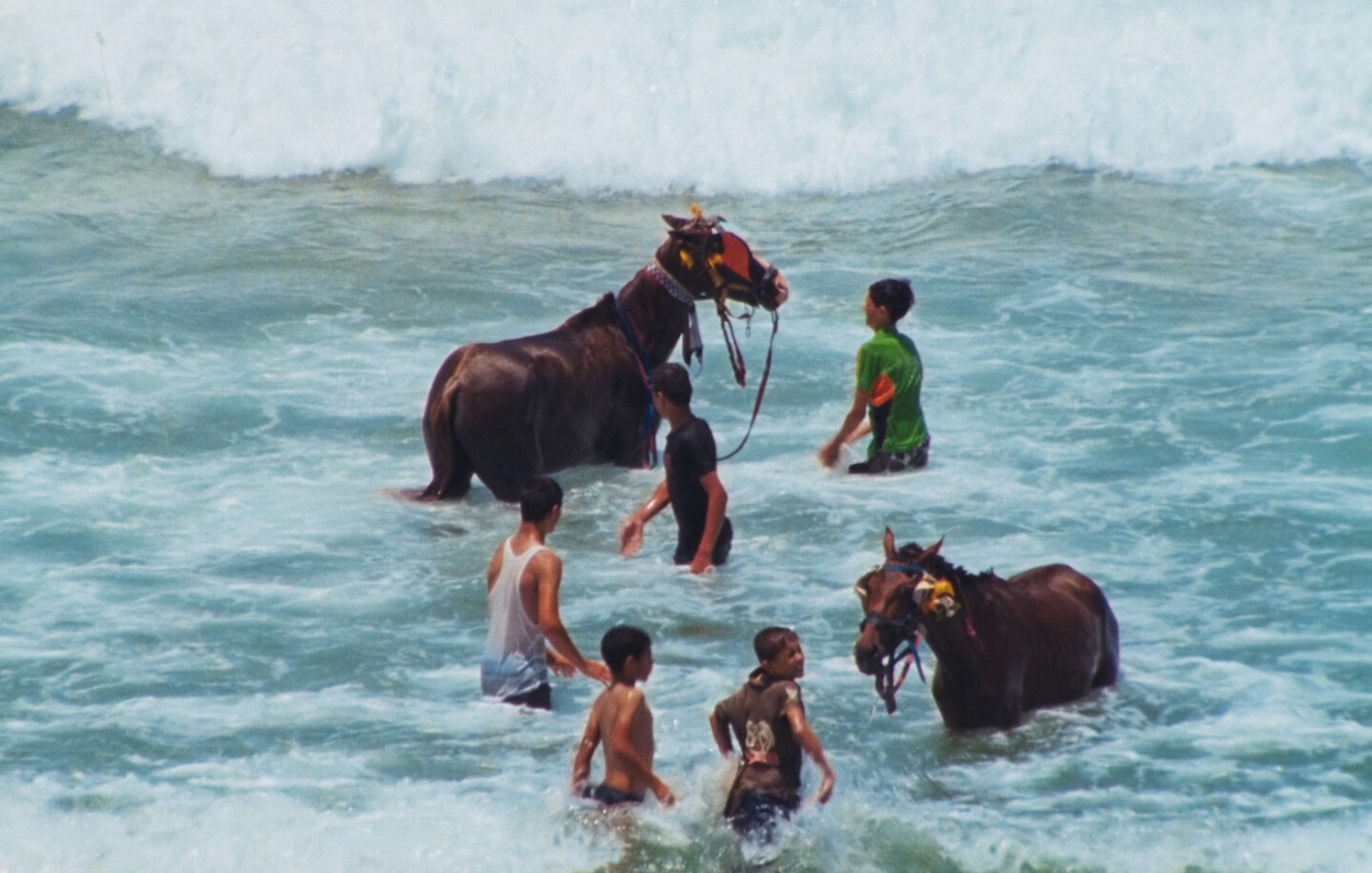 L'image montre des enfants et des adolescents dans l'eau, entourés de chevaux. Les chevaux, qui semblent se rafraîchir, sont équipés de harnais colorés. Les jeunes, en maillots de bain, jouent et interagissent avec les animaux tout en se tenant dans les vagues de la mer. L'ambiance paraît joyeuse et ludique, typique d'une journée à la plage. Les vagues sont visibles en arrière-plan, ajoutant à la scène estivale.