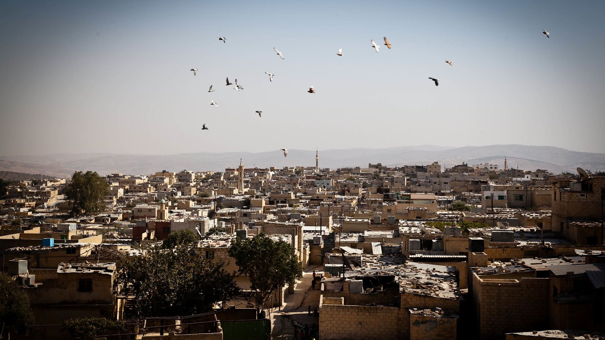 L'image présente un paysage urbain d'une ville avec de nombreuses maisons aux toits en désordre. Les bâtiments semblent en pierre ou en béton, et il y a une végétation limitée, avec quelques arbres. Au-dessus de la ville, un groupe d'oiseaux vole dans un ciel clair. En arrière-plan, des collines se dessinent, ajoutant une dimension naturelle à la scène. L'atmosphère parait à la fois calme et rurale.