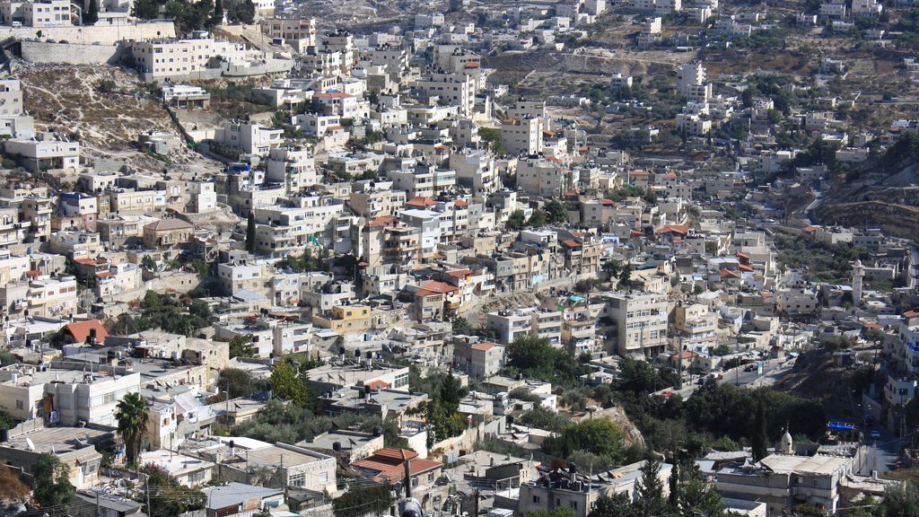 L'image montre un paysage urbain densément construit avec de nombreuses maisons et bâtiments. On peut observer une variété d'architecture, allant des structures modernes aux constructions plus anciennes. Les collines environnantes sont également visibles, avec des zones verdoyantes et des routes serpentant à travers le paysage. La ville semble être située dans une région montagneuse, avec un éclairage naturel qui met en valeur les détails des bâtiments.