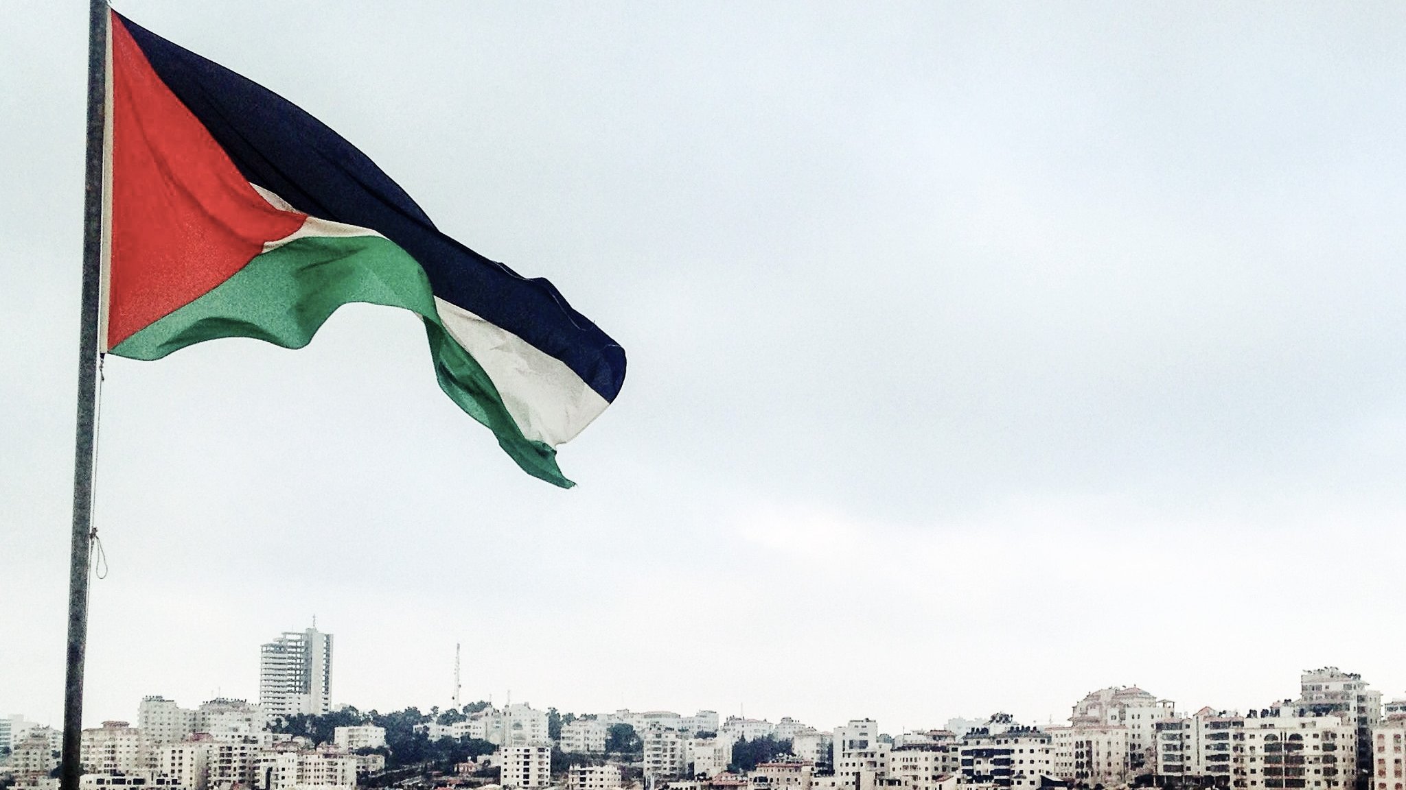 L'image montre un paysage urbain avec une vue sur de nombreux bâtiments modernes. Au premier plan, un drapeau palestinien flotte, composé de trois bandes horizontales (noire, blanche et verte) et d'un triangle rouge. L'arrière-plan présente une ville, dense en architecture, sous un ciel légèrement nuageux. Les couleurs du drapeau et l'urbanisme dans l'image évoquent une ambiance à la fois culturelle et urbaine.