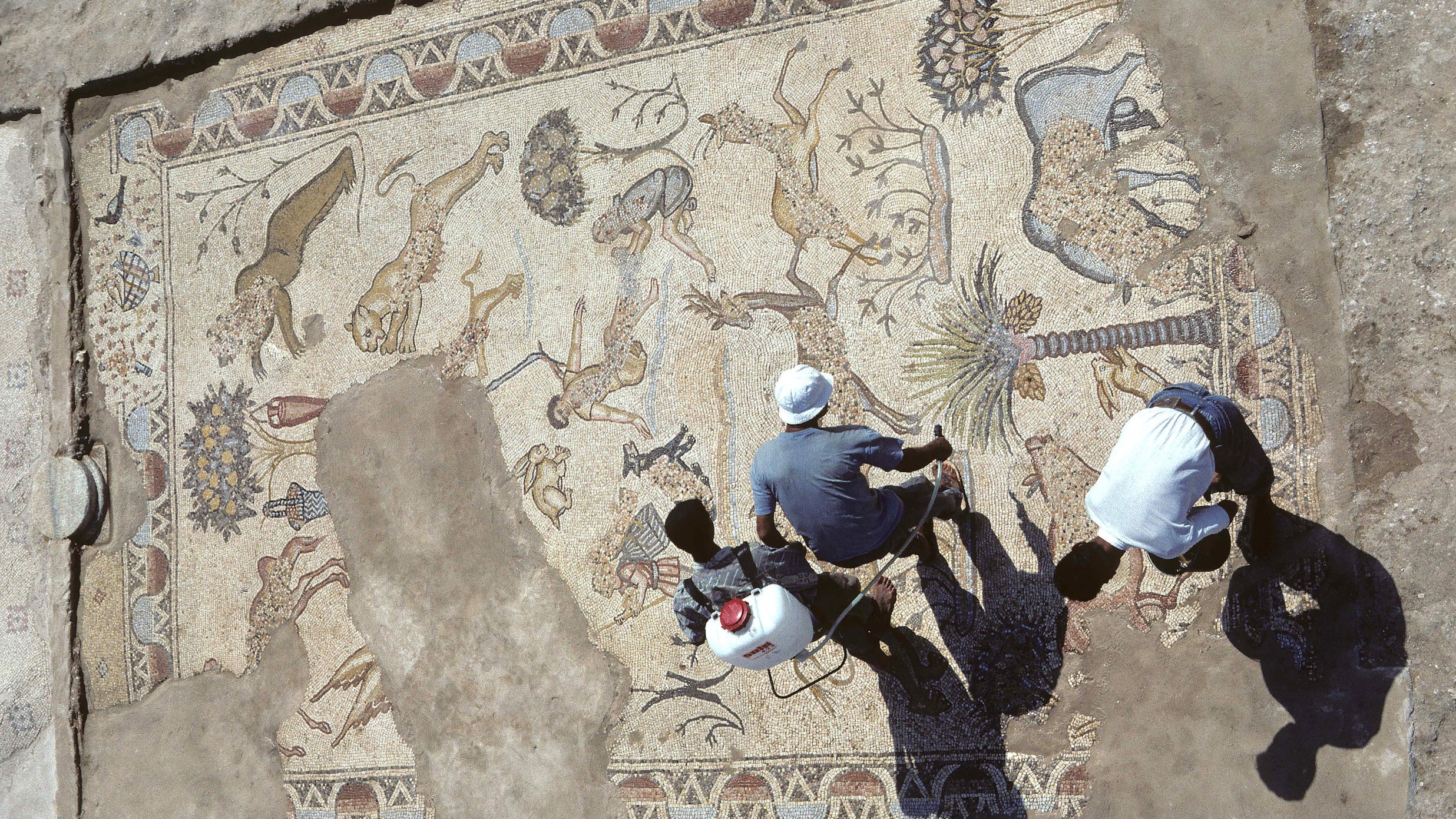 L'image montre une vue aérienne d'un sol en mosaïque impressionnant, découvert lors de fouilles archéologiques. Cette mosaïque représente une variété d'animaux, tels que des lions et des cerfs, ainsi que des motifs floraux et géométriques. On peut voir deux personnes travaillant à proximité, probablement en train d'examiner ou de restaurer la mosaïque. La terre autour de la mosaïque est dénudée, suggérant un site archéologique en plein exploration. Les ombres des personnes ajoutent une dimension intéressante à la scène.