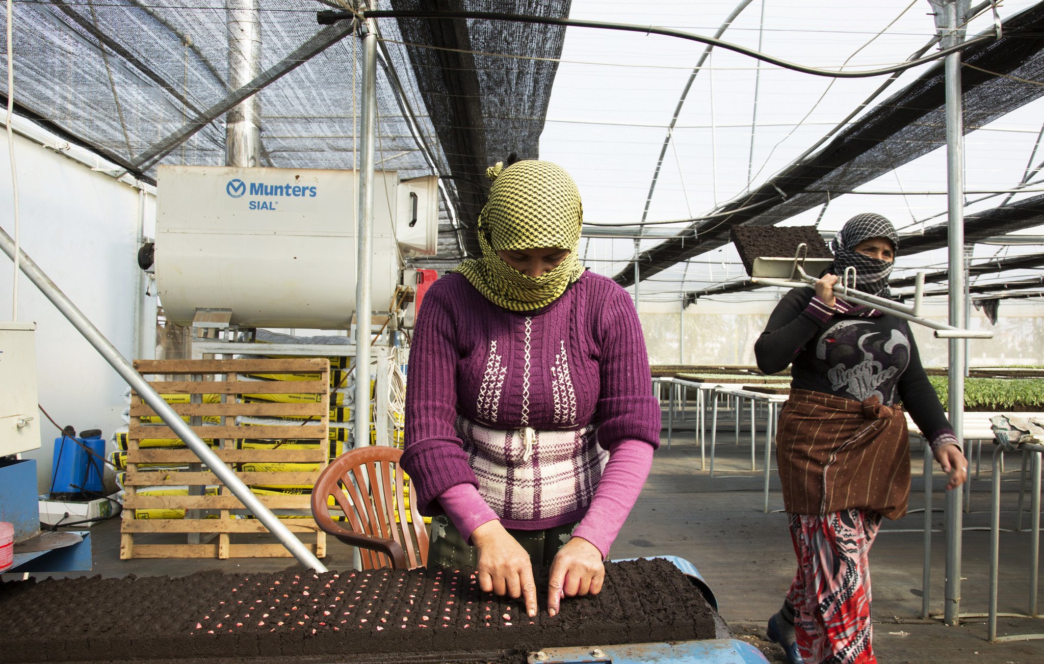 L'image montre deux femmes travaillant dans une serre. L'une d'elles est au premier plan, concentrée sur un plateau de culture, où elle semble mettre des graines en terre. Elle porte un pull violet et un foulard. À l'arrière-plan, une autre femme marche, vêtue d'un pantalon coloré et d'un haut sombre. La serre est éclairée par la lumière naturelle, avec des filets qui filtrent le soleil. Des étagères en bois sont visibles, probablement utilisées pour le stockage ou la préparation des plants.