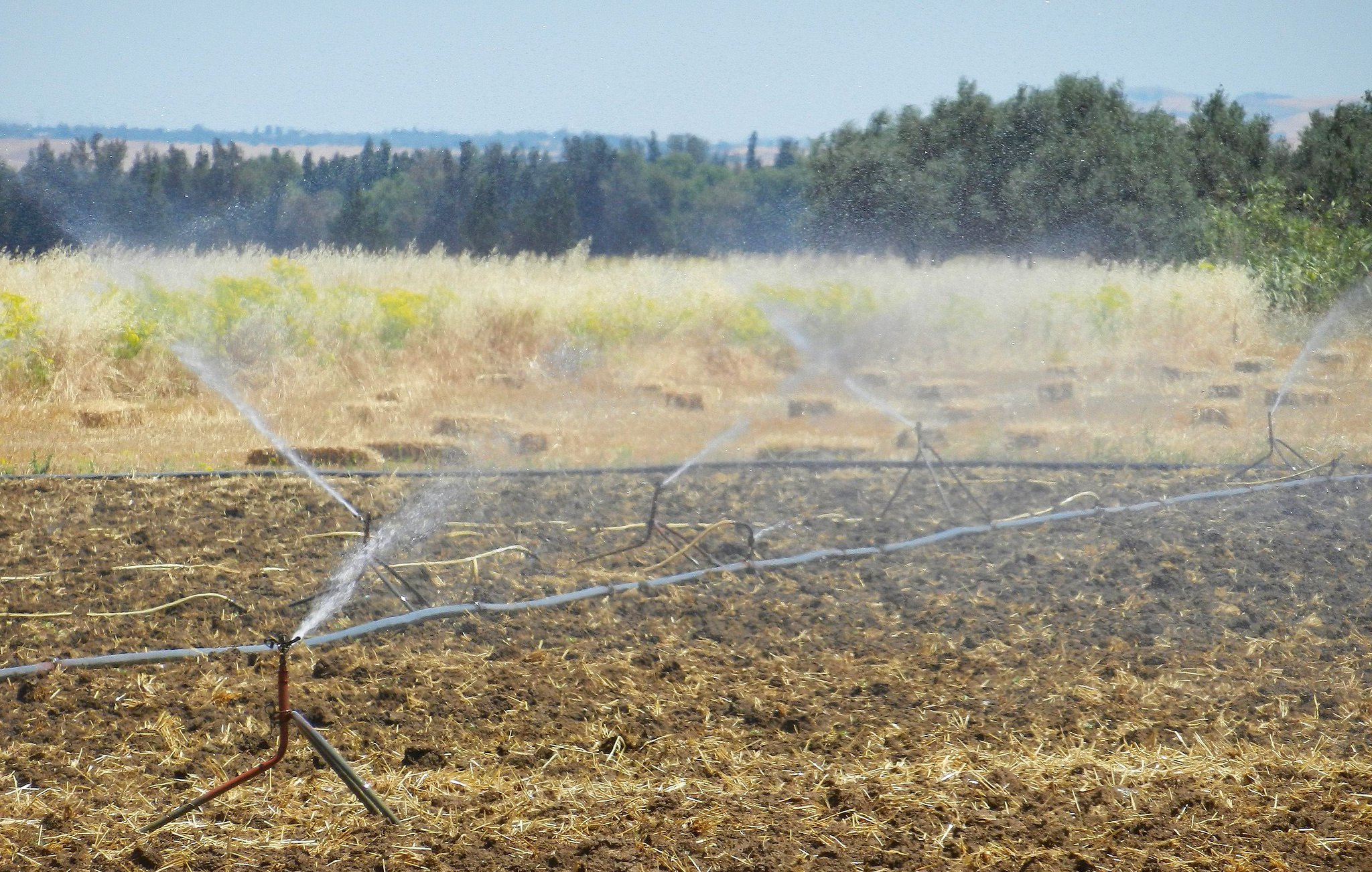 L'image montre un champ arrosé par un système d'irrigation. Des tuyaux sont disposés au sol, projetant de l'eau sur le sol sec. En arrière-plan, on peut voir des collines verdoyantes et des arbres. Le ciel est dégagé, et il semble faire beau. L'ensemble évoque une scène rurale liée à l'agriculture.