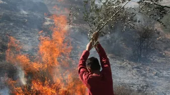 L'image montre un homme tenant une branche d'olivier au-dessus d'un feu de forêt. Des flammes et de la fumée se dégagent autour de lui, créant une scène dramatique. L'arrière-plan présente un paysage partiellement brûlé, suggérant des dommages causés par le feu. L'homme semble concentré sur son action, peut-être pour éteindre le feu ou pour avertir les autres de la situation.