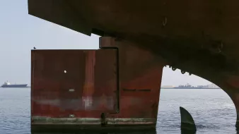 L'image montre une partie d'un grand navire de marchandises, probablement ancré dans un port. On voit le fond de la coque, qui est rouillé, et une partie de la structure de la proue. À gauche, une silhouette d'un oiseau se tient sur le navire. En arrière-plan, d'autres navires sont visibles sur l'eau calme. L'ensemble de la scène évoque une atmosphère maritime sereine et industrielle.