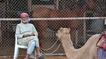 L'image montre un homme assis sur une chaise en plastique, vêtu d'une tenue traditionnelle. Il porte un keffieh rouge et blanc. À côté de lui, un chameau est attaché, tandis qu'en arrière-plan, d'autres chameaux sont visibles derrière une clôture en fil de fer. Le sol est sablonneux, ce qui évoque un environnement désertique. L'homme semble calme et observateur, profitant de son temps près des animaux.