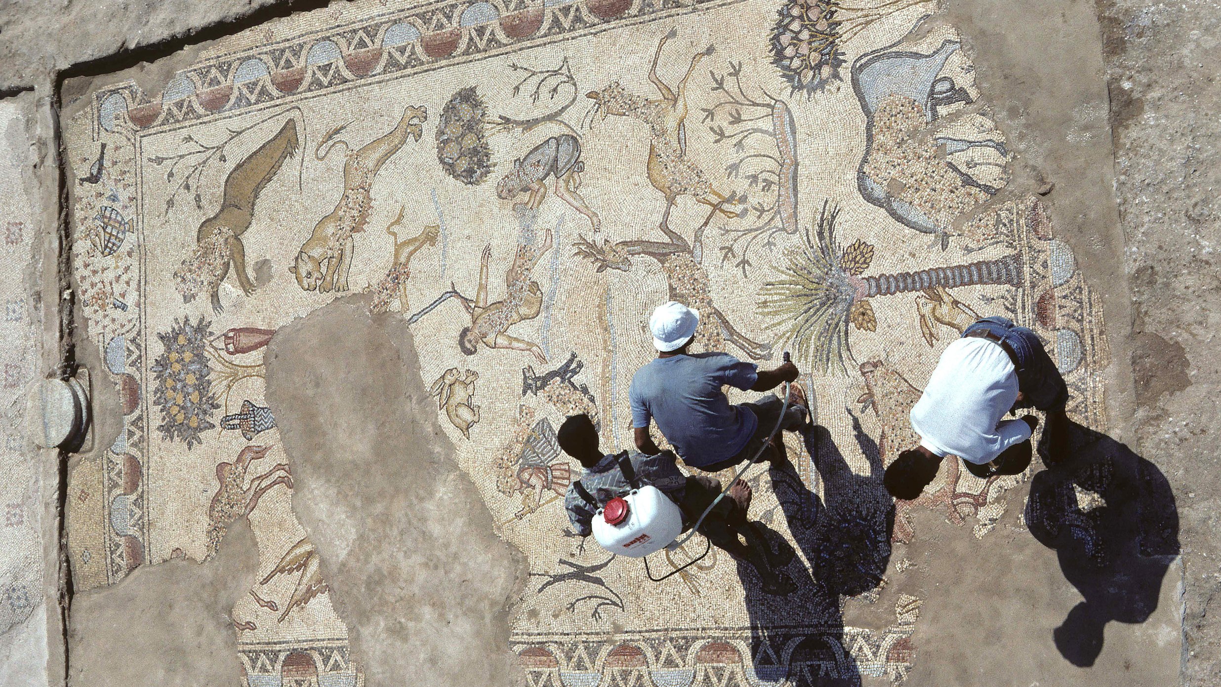 L'immagine mostra un antico mosaico, parzialmente scavato, con una varietà di animali e motivi decorativi. Si possono osservare figure di leoni, cervi e palme, che suggeriscono una rappresentazione di scene naturali. Due persone sono visibili nella parte inferiore, impegnate nel lavoro di pulizia o restauro del mosaico. L'illuminazione crea ombre sul pavimento, accentuando i dettagli del mosaico e l'atmosfera archeologica del sito.