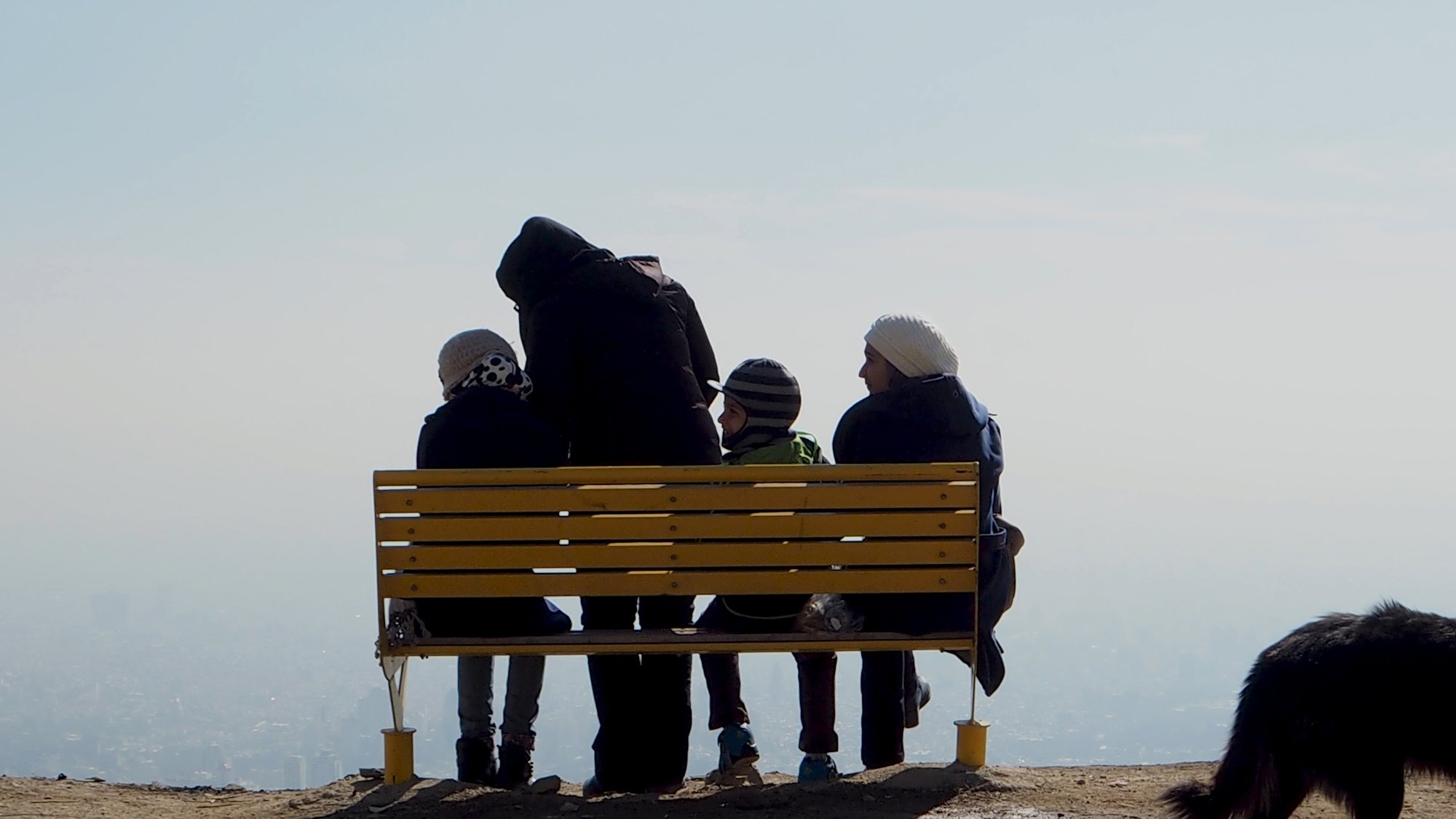 L'immagine mostra un gruppo di persone sedute su una panchina gialla situata in un luogo panoramico. Sono rivolte verso il paesaggio, apparentemente immersi nei loro pensieri o nella contemplazione della vista. La scena è caratterizzata da un'atmosfera serena e tranquilla, con una leggera foschia che sfuma l'orizzonte. Accanto alla panchina, un cane nero si avvicina, aggiungendo un tocco di vita all'immagine. Le persone indossano abbigliamento invernale, suggerendo che potrebbe essere una giornata fredda.